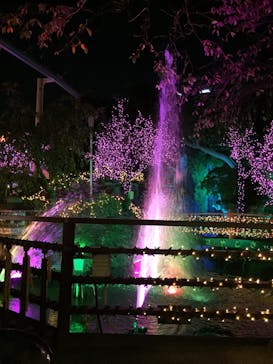 浅草花やしきに投稿された画像（2017/12/26）