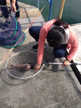 賢島フィッシングパーク海遊苑に投稿された画像（2017/12/11）