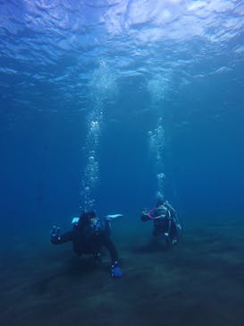 三宅島スナッパーに投稿された画像（2018/8/30）
