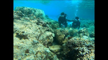 武藤潜水に投稿された画像（2019/3/14）