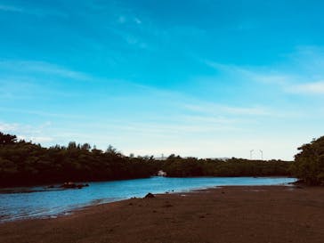 CHOROに投稿された画像（2018/11/21）