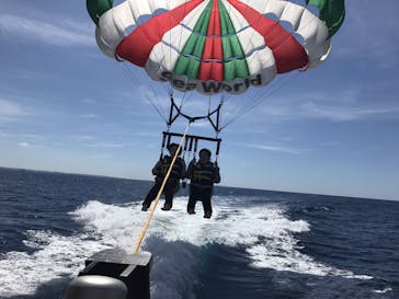 Sea World（シーワールド）に投稿された画像（2017/10/3）