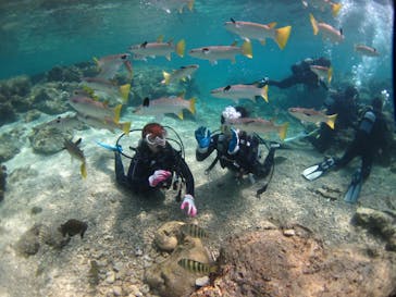 ドロップイン 沖縄に投稿された画像（2019/2/27）