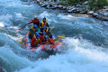 ネイチャー・ナビゲーター（みなかみ）に投稿された画像（2018/6/2）