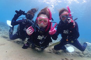 ダイビングショップ Sea Free（シーフリー）に投稿された画像（2018/11/6）