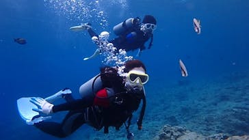 diving&workshop IHANASHI（ダイビングアンドワークショップイハナシ）に投稿された画像（2019/5/27）