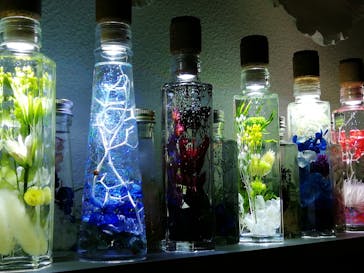 ずこうしつ〜sugamo〜に投稿された画像（2019/2/19）