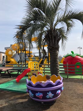 伊豆ぐらんぱる公園に投稿された画像（2019/2/16）