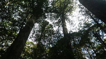 屋久島ガイドクラブに投稿された画像（2018/12/16）