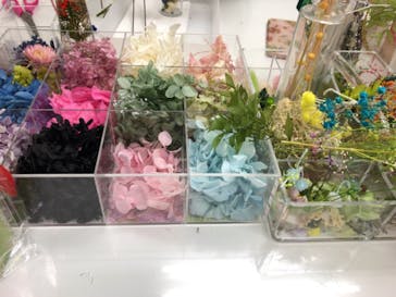 ずこうしつ〜sugamo〜に投稿された画像（2018/12/17）