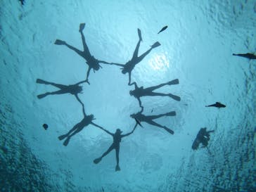 武藤潜水に投稿された画像（2019/5/28）