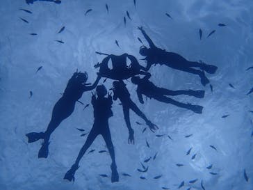 ダイビングショップ Sea Free（シーフリー）に投稿された画像（2019/3/18）