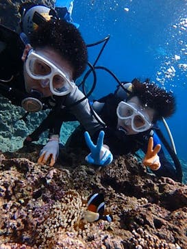 diving&workshop IHANASHI（ダイビングアンドワークショップイハナシ）に投稿された画像（2019/4/29）