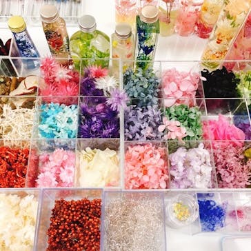 ずこうしつ〜sugamo〜に投稿された画像（2019/3/14）