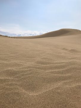 鳥取砂丘サンドボードスクール事業部に投稿された画像（2019/4/12）