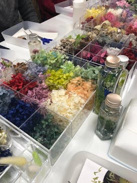 ずこうしつ〜sugamo〜に投稿された画像（2019/2/19）