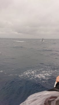 Sea World（シーワールド）に投稿された画像（2019/2/11）