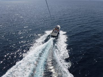 Sea World（シーワールド）に投稿された画像（2019/3/14）