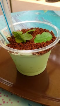 サンシャイン水族館に投稿された画像（2018/7/8）