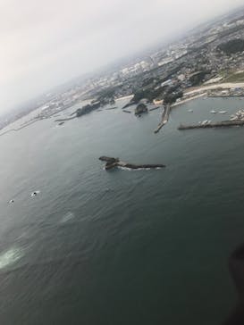 松島熱気球・パラグライダー体験に投稿された画像（2018/9/29）