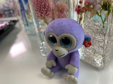 ずこうしつ〜sugamo〜に投稿された画像（2019/2/2）