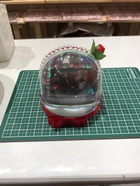 Petal（ペタル）に投稿された画像（2017/12/30）