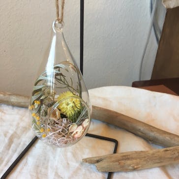 une graine（アングレンヌ）に投稿された画像（2018/1/31）