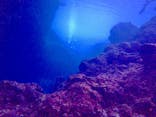青の洞窟専門店　沖縄ダイビングショップ和に投稿された画像（2018/6/7）