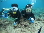 武藤潜水に投稿された画像（2019/4/20）
