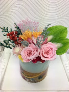 ずこうしつ〜sugamo〜に投稿された画像（2019/3/3）