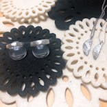 銀のイルカに投稿された画像（2018/11/11）