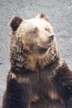 阿蘇カドリー・ドミニオンに投稿された画像（2018/12/30）