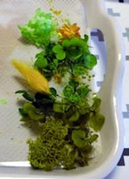 横浜YSABELに投稿された画像（2018/4/4）