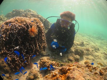 diving&workshop IHANASHI（ダイビングアンドワークショップイハナシ）に投稿された画像（2018/9/3）