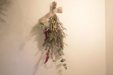 une graine（アングレンヌ）に投稿された画像（2018/11/12）