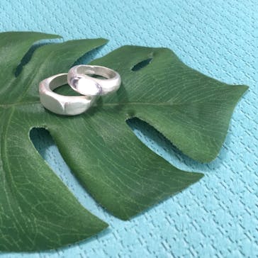 銀のイルカに投稿された画像（2019/2/18）