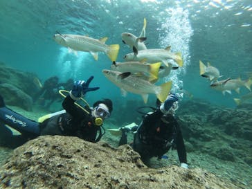 武藤潜水に投稿された画像（2019/4/28）
