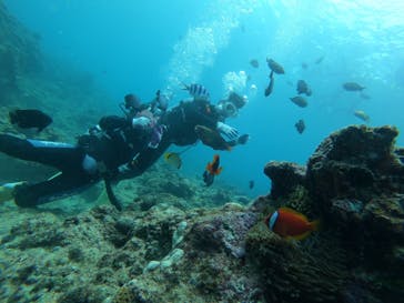 武藤潜水に投稿された画像（2019/3/27）