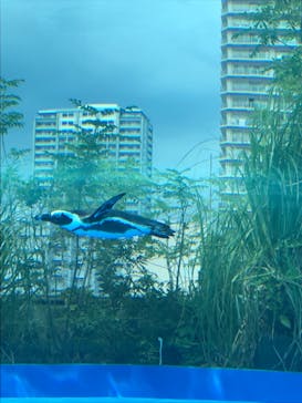 サンシャイン水族館に投稿された画像（2018/8/13）