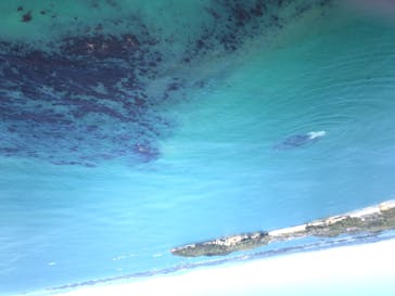 松島熱気球・パラグライダー体験に投稿された画像（2019/5/4）