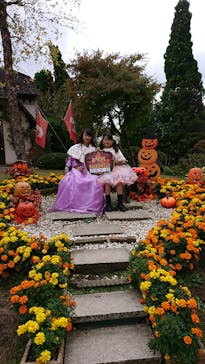 河口湖 音楽と森の美術館に投稿された画像（2018/10/20）