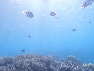 沖縄マリンクラブ結に投稿された画像（2018/12/27）