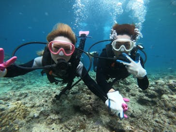 武藤潜水に投稿された画像（2019/6/3）