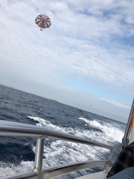 Sea World（シーワールド）に投稿された画像（2019/2/20）