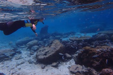 diving&workshop IHANASHI（ダイビングアンドワークショップイハナシ）に投稿された画像（2018/12/31）