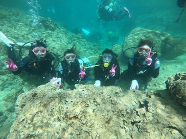 武藤潜水に投稿された画像（2019/4/2）