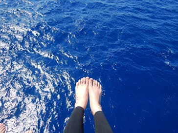 Sea World（シーワールド）に投稿された画像（2019/5/29）