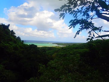 西表島 ADVENTURE PiPi（アドベンチャーピピ）に投稿された画像（2018/12/28）