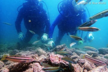 ブルーワールドに投稿された画像（2018/9/13）