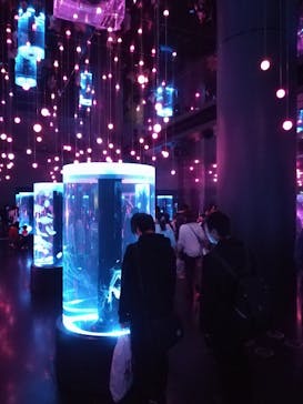 マクセル アクアパーク品川に投稿された画像（2018/3/4）